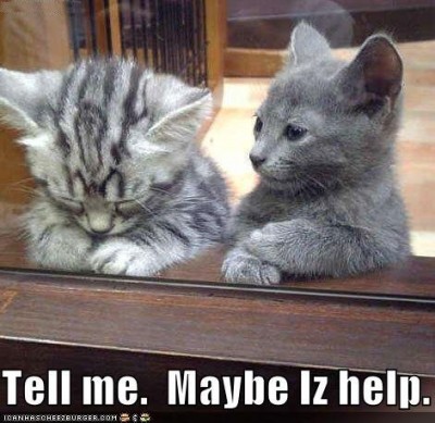 funny-pictures-kitten-offers-to-help-sad-friend.jpg