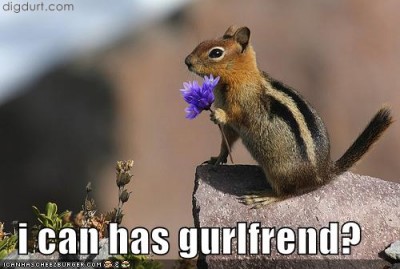 funny-pictures-squirrel-girlfriend1.jpg