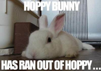 hoppy-bunny.jpg