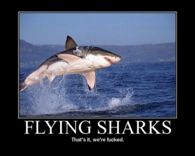 flying_sharks-480x384.jpg